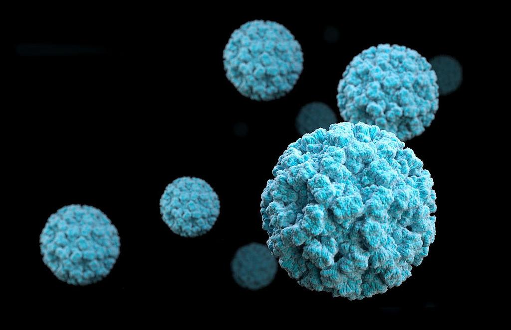 norovirus-takes-over-the-us-the-voice