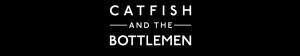 Catfish and the Bottlemen logo for their new album (Courtesy of catfishandthebottlemen.).