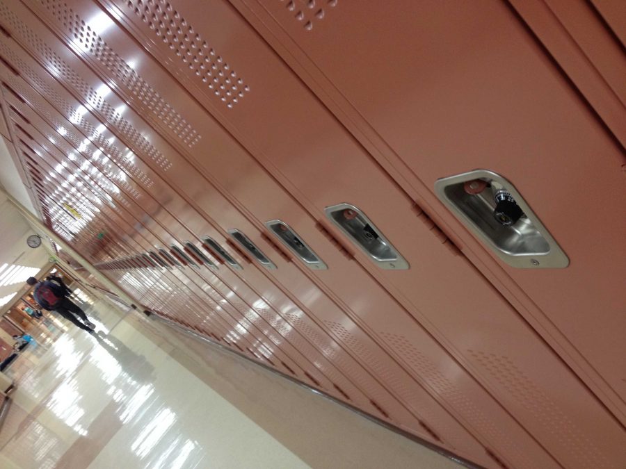 Lockers at Huntley High School (D. Martin).