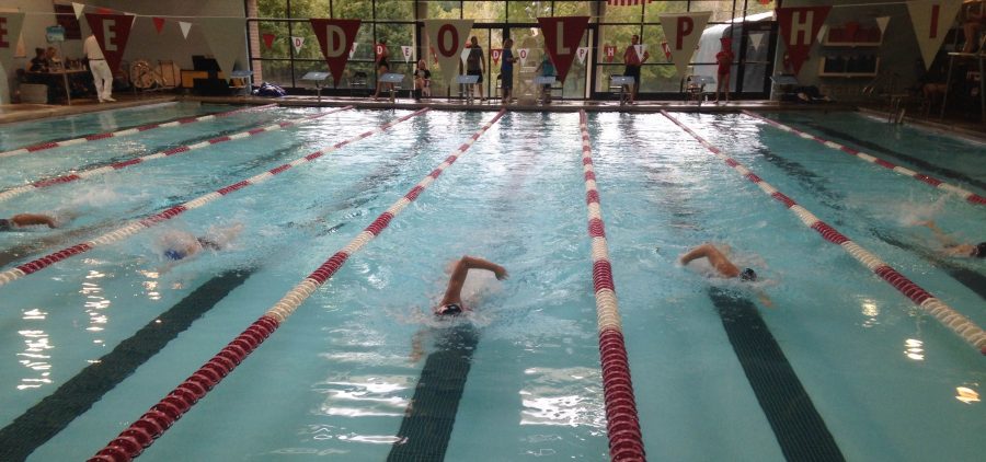 Huntley boys swimming ends season with sectionals loss