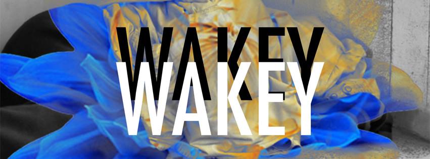 Wakey Wakey has many songs that strike a chord with listeners (www.facebook.com/wakeywakeyband/photos/).