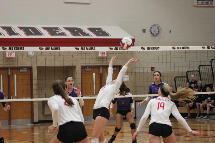Freshman Taylor Jakubowski sets the ball for one of the hitters (Courtesy of J. Link).