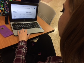 The SparkNotes webpage is easy to use and useful for comprehension. (Photo  courtesy of S. Biernat)