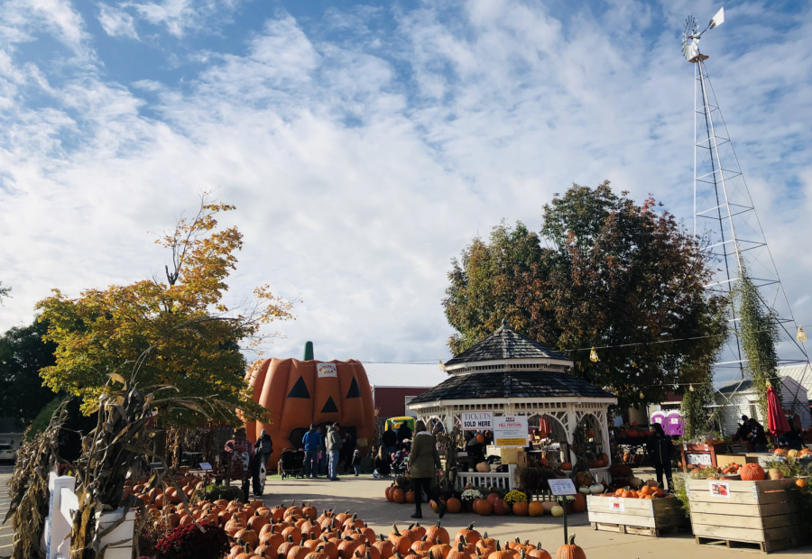 The Fall Festival is here and it will be leafing you with joy