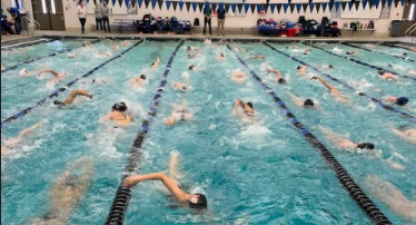 Huntley’s girls swim team success blows everyone out of the water