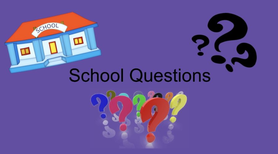 School Questions