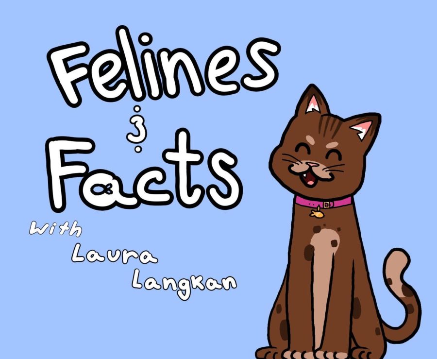 Felines and Facts: Episode 3