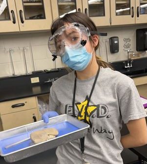 Senior Valeria Sanchez dissecting a heart in one of the PLTW medical classes.