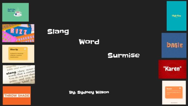 Slang Word Surmise: Episode 2