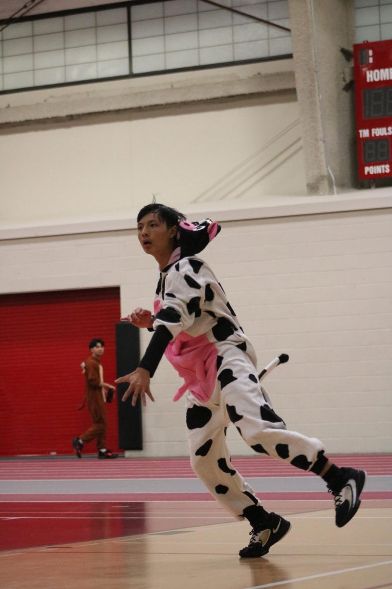 Player in a cow onesie after serving the ball.