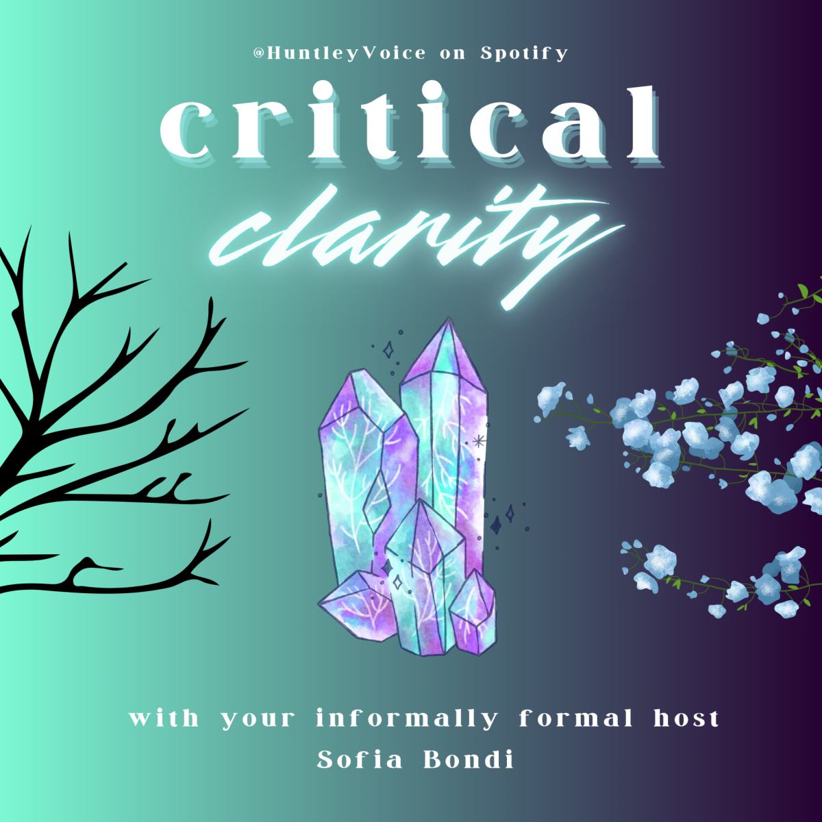 Critical Clarity: Episode 1