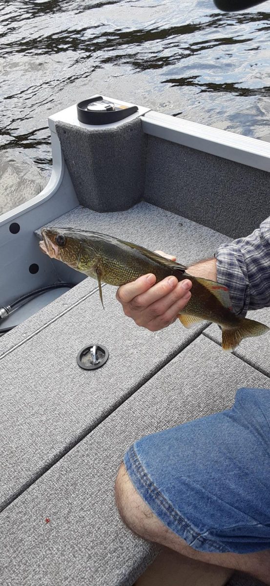 18-inch Walleye caught by Alexia on Cedar Lake, Ontario
